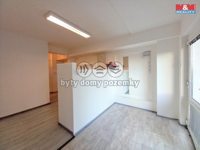 Pronájem, Obchod a služby, Ostrov