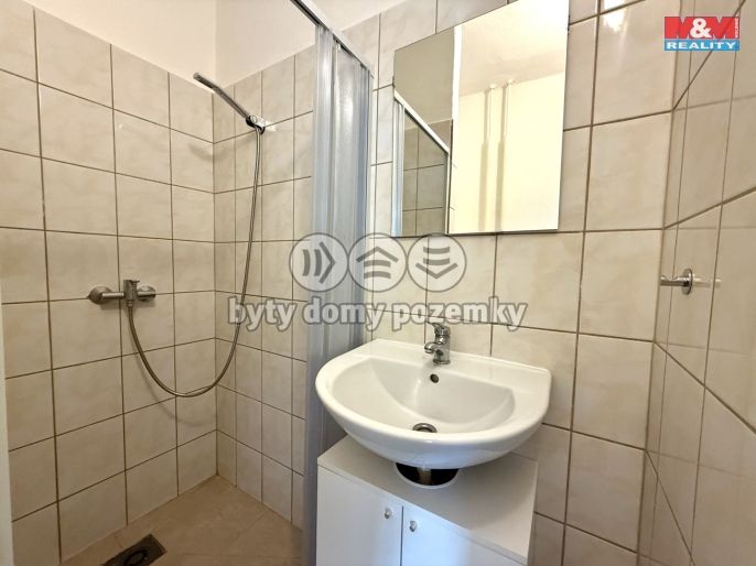 Pronájem, Byt 1+kk, Ostrava