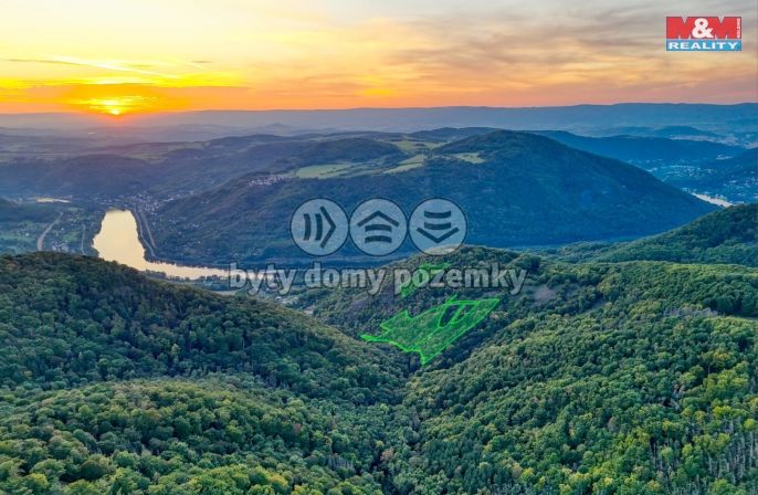 Prodej, Les, Ústí nad Labem