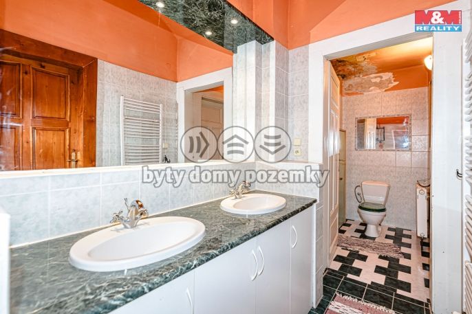 Prodej, Hotel, penzion, Albrechtice nad Orlicí