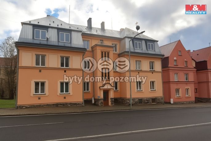 Prodej, Byt 1+1, Nejdek