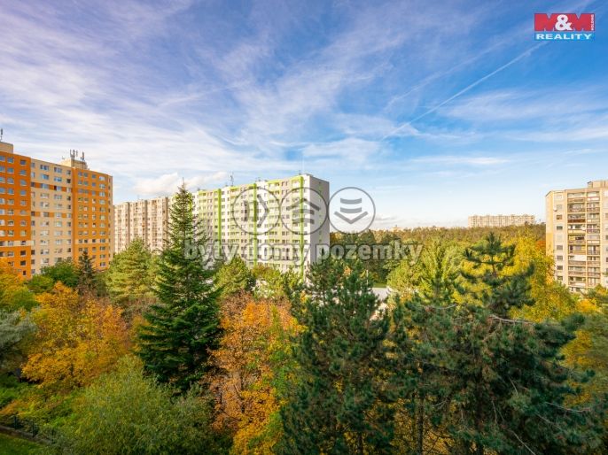 Pronájem, Byt 3+1, Praha