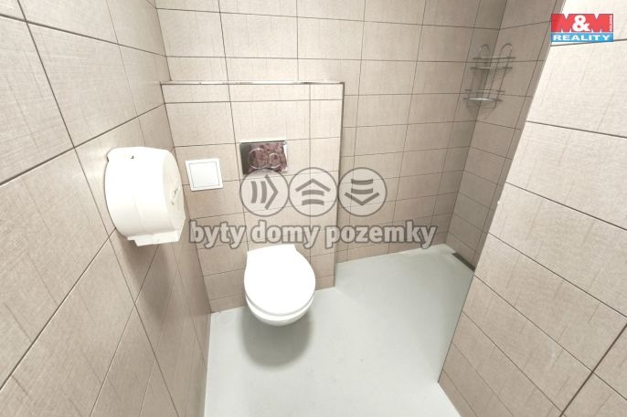 Pronájem, Obchod a služby, Mladá Boleslav