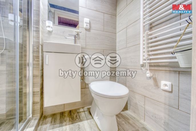 Prodej, Chata, Staňkov