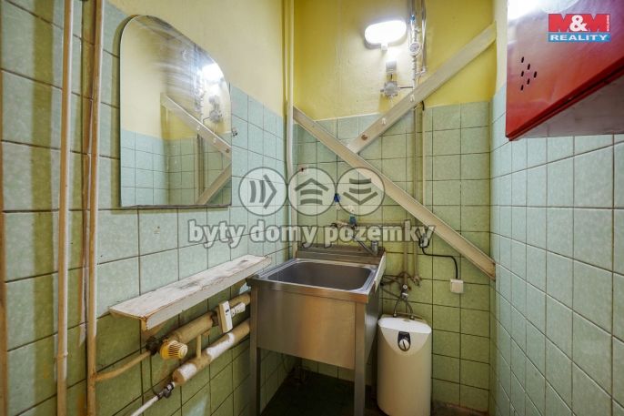 Pronájem, Obchod a služby, Třemošná