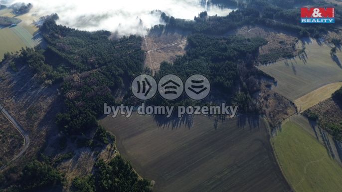 Prodej, Les, Bohdalov