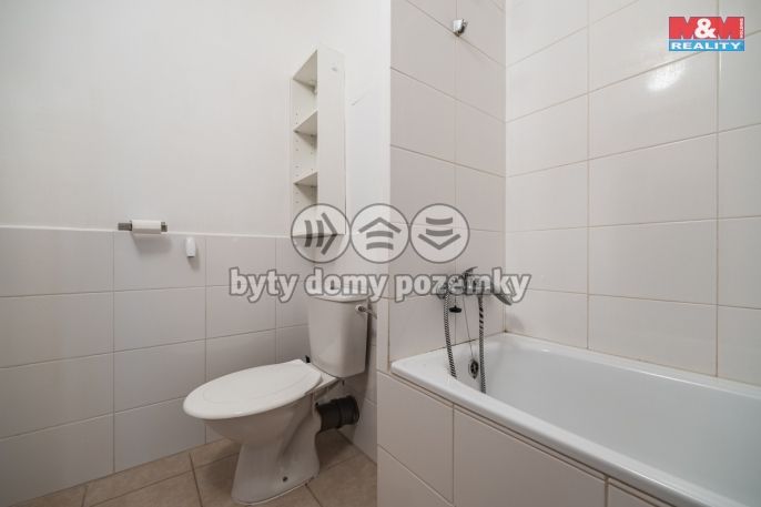 Pronájem, Byt 2+kk, Březnice