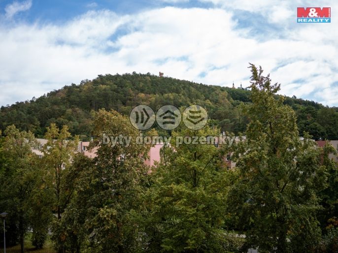 Prodej, Byt 3+1, Krnov