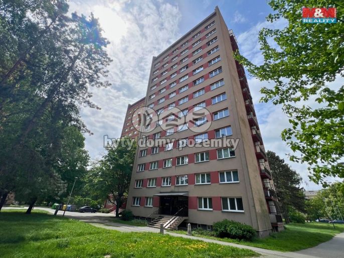 Pronájem, Byt 1+kk, Ostrava
