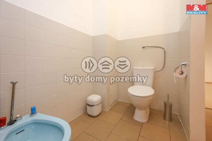 Pronájem, Ostatní, Prostějov