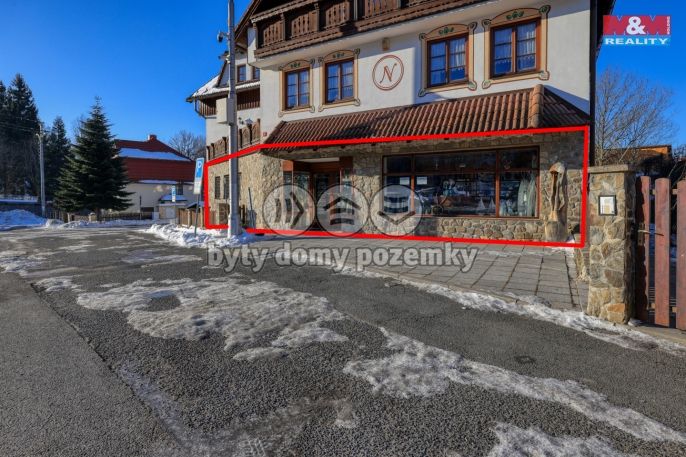 Pronájem, Obchod a služby, Železná Ruda