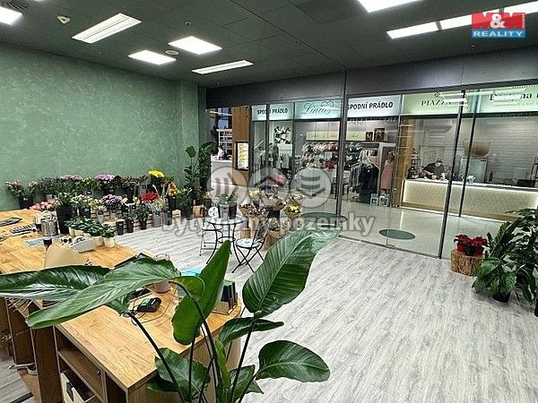 Pronájem, Obchod a služby, Brno