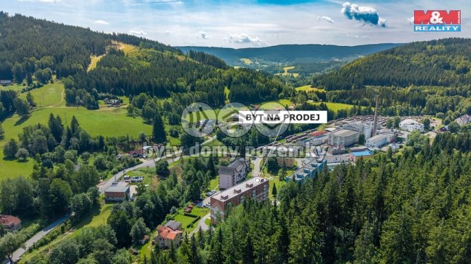 Prodej, Byt 1+kk, Jiřetín pod Bukovou