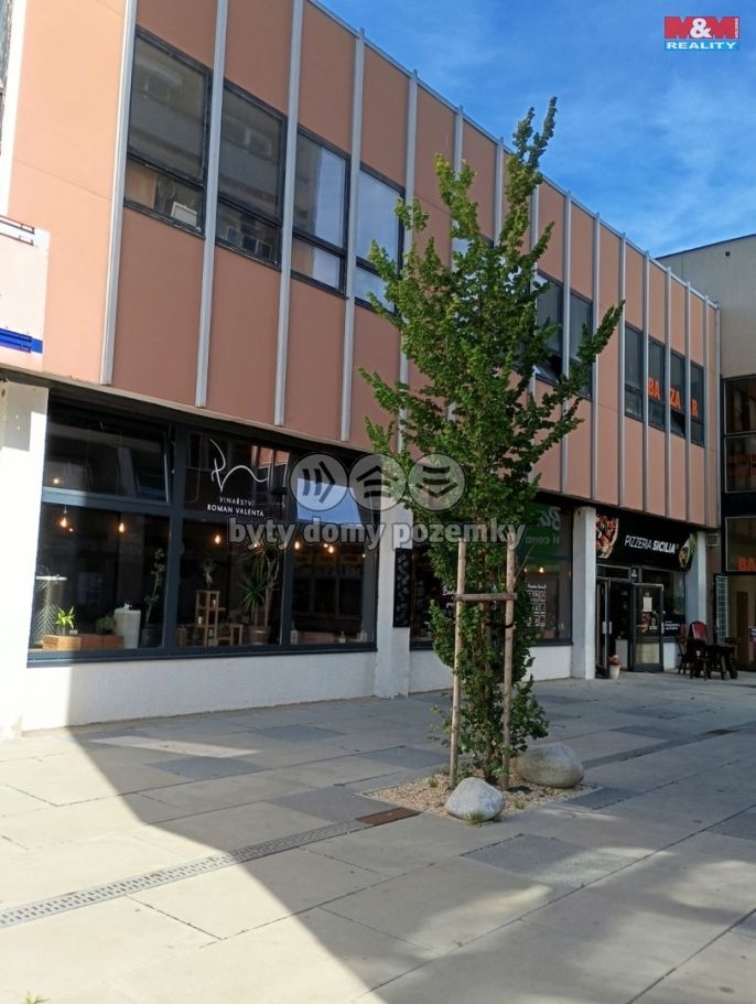 Pronájem, Obchodní objekt, Příbram