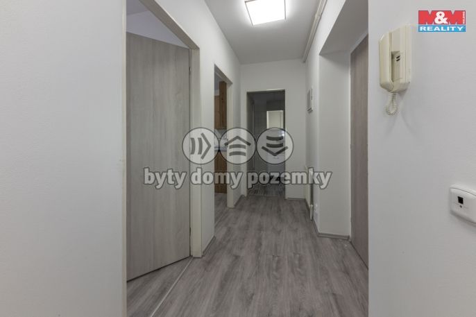 Prodej, Byt 1+1, Soutice