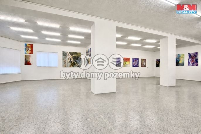 Pronájem, Obchod a služby, Louny