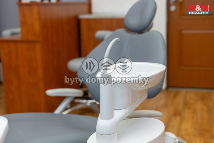 Pronájem, Ostatní, Brno