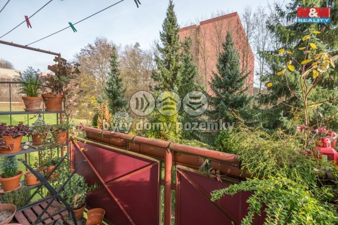 Prodej, Byt 3+kk, Orlová