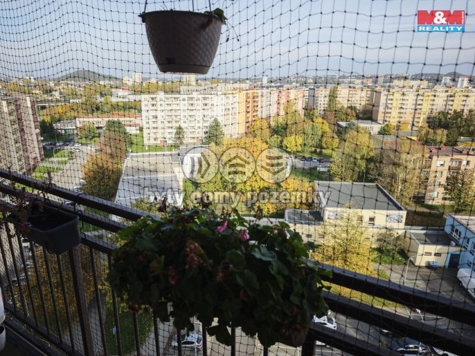 Pronájem, Byt 1+kk, Ostrava