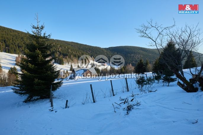 Prodej, Louka, Malá Úpa