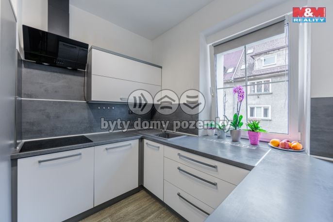 Prodej, Byt 3+1, Cheb