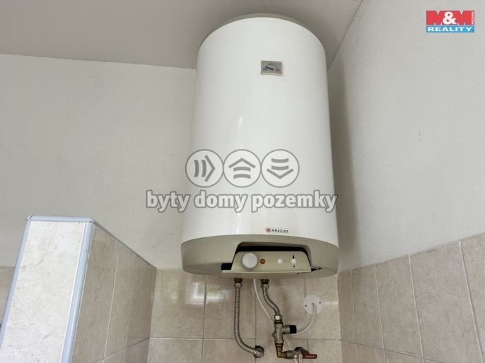 Pronájem, Ostatní, Dražice