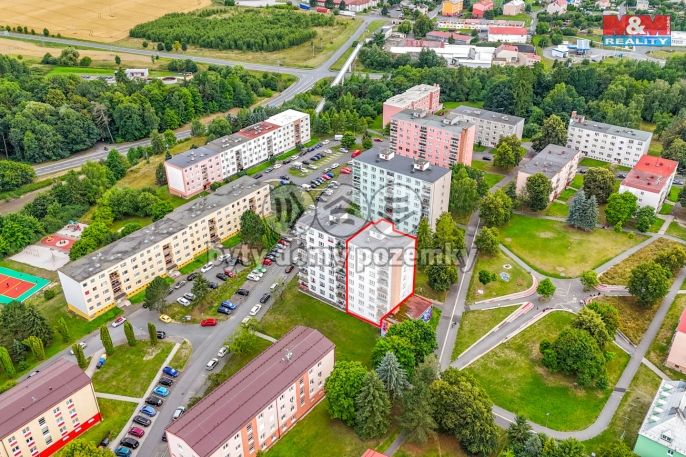 Pronájem, Byt 2+1, Planá