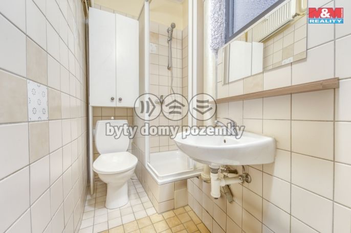 Pronájem, Byt 1+kk, Plzeň