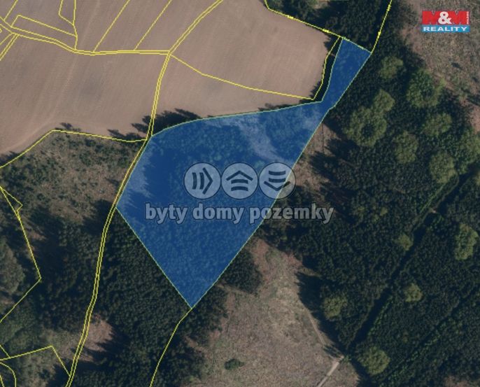 Prodej, Les, Bohdalov