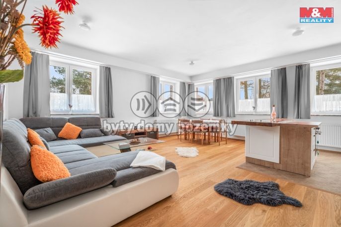 Prodej, Hotel, penzion, Borušov