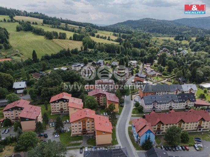 Prodej, Byt 3+1, Železná Ruda