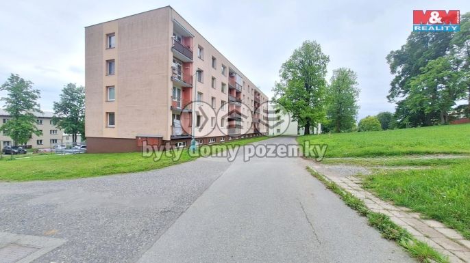 Pronájem, Byt 1+1, Rokytnice v Orlických horách