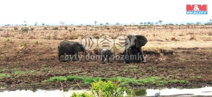 Prodej, Rodinný dům, Ostrov