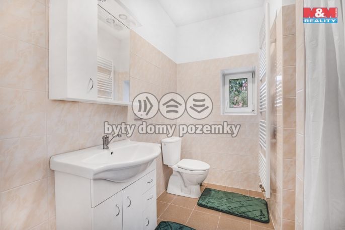 Pronájem, Byt 1+kk, Plazy