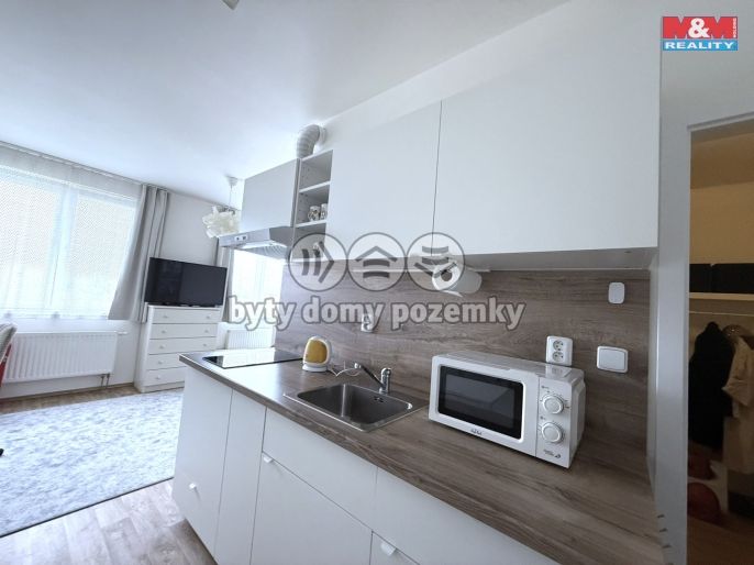 Pronájem, Byt 1+kk, Klecany