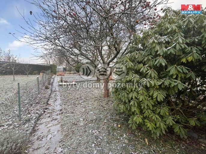 Prodej, Zahrada, Žacléř