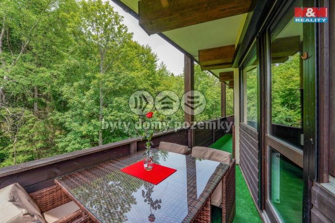 Pronájem, Byt 2+kk, Železná Ruda