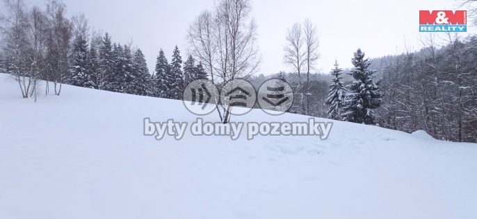 Prodej, Ostatní, Dlouhý Most