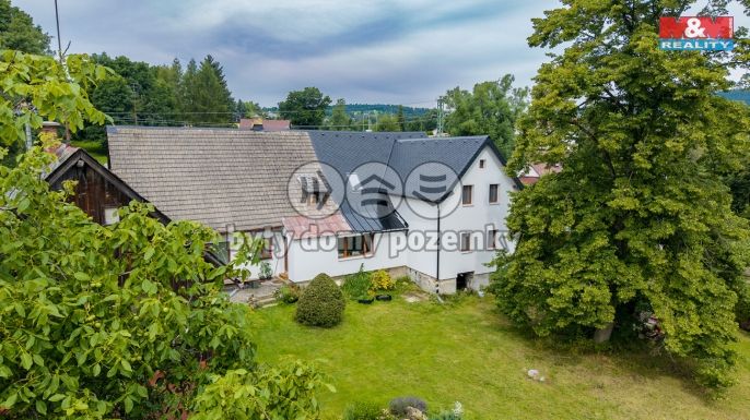 Prodej, Hotel, penzion, Pěnčín
