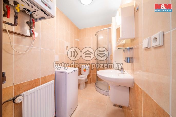 Pronájem, Byt 1+1, Praskolesy