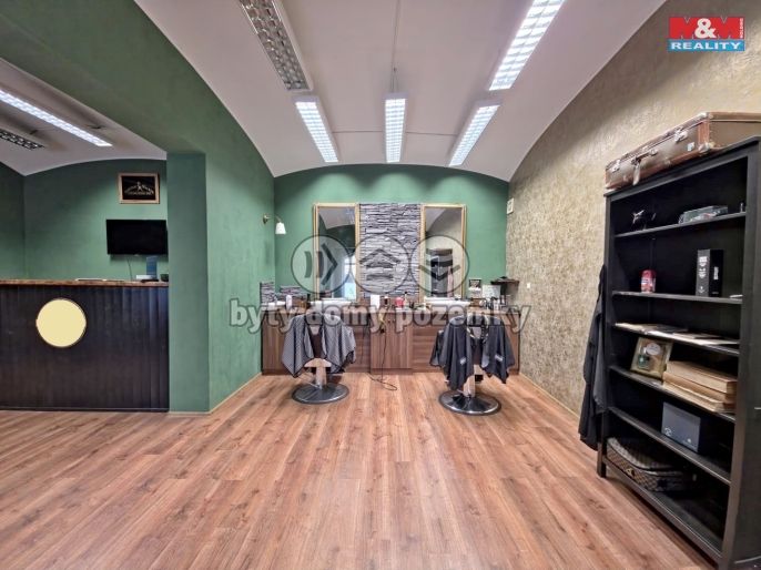 Pronájem, Obchod a služby, Teplice