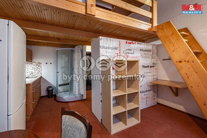 Pronájem, Byt 1+kk, Mariánské Lázně