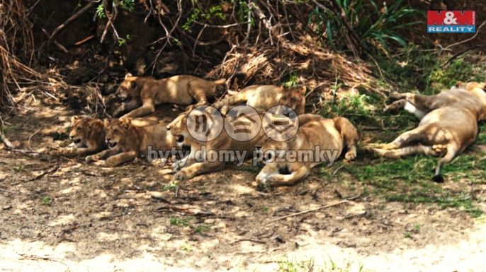 Prodej, Rodinný dům, Ostrov