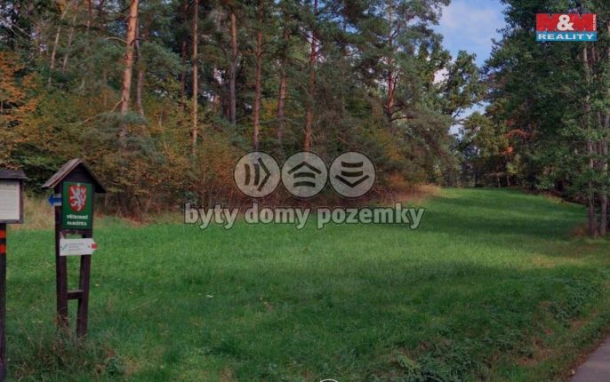 Prodej, Les, Petrovice