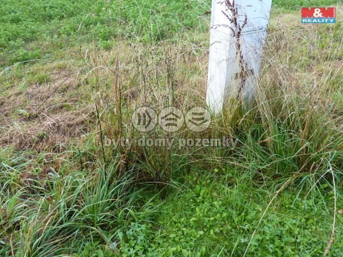 Prodej, Pozemek k bydlení, Žernov