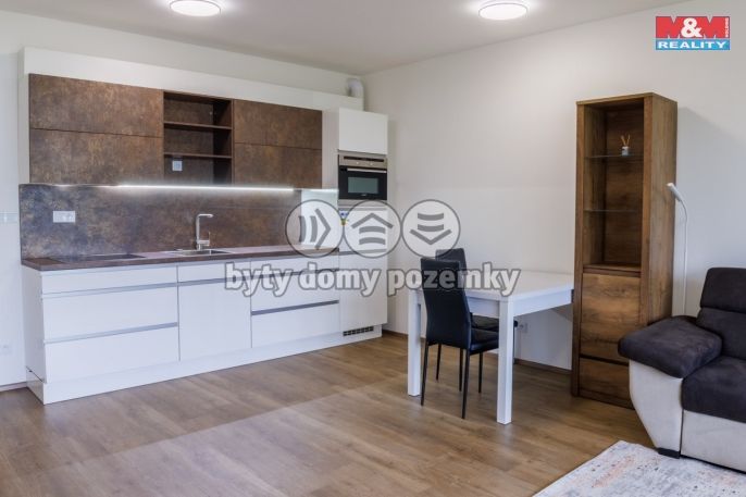 Prodej, Byt 1+kk, Plzeň