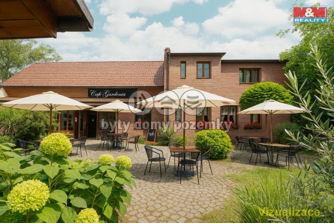 Prodej, Obchodní objekt, Bechyně