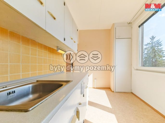 Prodej, Byt 1+1, Janské Lázně