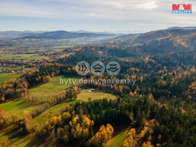 Prodej, Pastvina, Milíkov