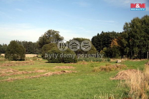 Prodej, Les, Petrovice